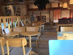 -猫的天空之城概念书店(丽江古城饮玉巷店)