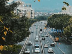 -福道