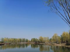 -东郊湿地公园