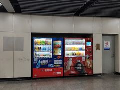-陆家浜路(地铁站)