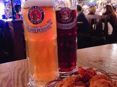 -宝莱纳啤酒花园餐厅PAULANER BRAUHAUS Nanjing(广州路店)