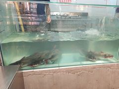 -赵大妖·活鱼现烤(天水店)