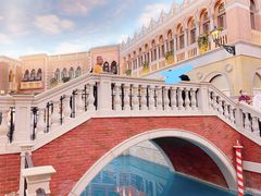 -澳门威尼斯人综合度假区