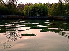 -南宫温泉水世界