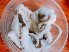 章鱼-铭聚章鱼土笋冻(松柏店)