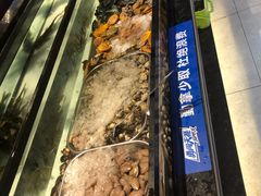 -海吃海喝海鲜烤肉炭火主题自助餐(朝阳店)