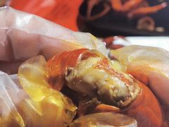 -沪小胖小龙虾(淮海中路旗舰店)