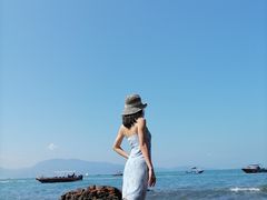 -杨梅坑