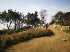 -铁山坪森林公园