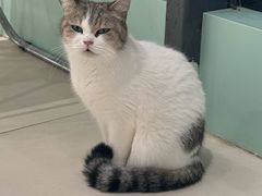 -怪兽屋·羊驼·猫咖·狗咖(俊华广场店)