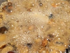 -蘑统田下·野生菌火锅