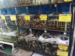 -蚝专家(北滘店)