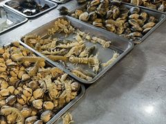 -春华海鲜城(广场西苑店)