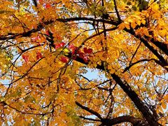 -北京西山国家森林公园