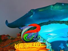 -珠海长隆海洋王国