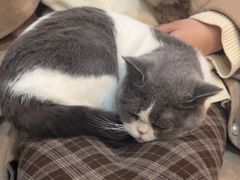 -悠米私人影院(街道口店)