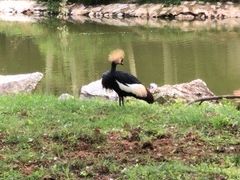 -秦皇岛野生动物园