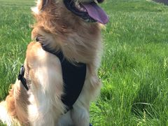 -INLOVE KTV(印象汇店)