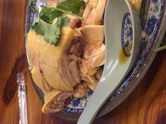 -九斤黄三黄鸡专卖店