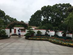 -南山植物园
