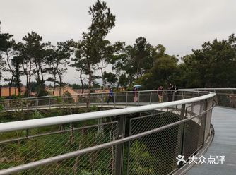 今天和家人逛厦门网红景点健康步道。一路上风景无限好