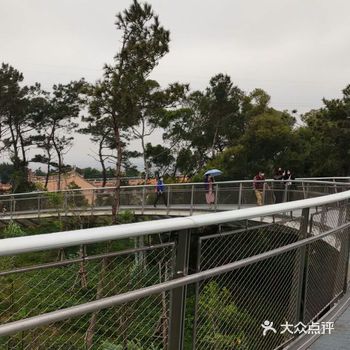 今天和家人逛厦门网红景点健康步道。一路上风景无限好