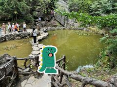 -梭布垭石林景区