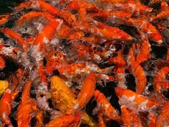 -溪口-滕头旅游景区