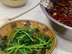 -乡土特色.冷锅鱼.牦牛肉汤锅