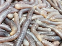 -三亚火车头万人海鲜广场