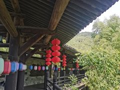-大唐贡茶院