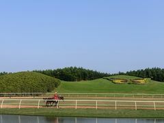 -迪茵湖田家舍生态农场