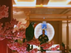 -蓝鲸湾汤泉(包河店)