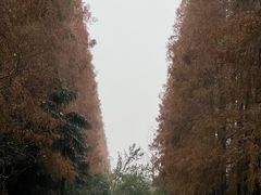 -上海怡沁园度假酒店