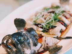 传统广式麒麟蒸海青斑-富淳饭店(陆家嘴保利广场店)