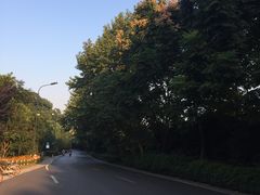 -西湖风景区-江洋畈生态公园