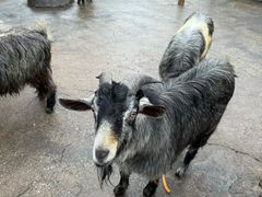 -森波拉奇妙世界