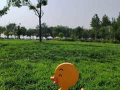 -东堤公园