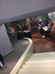 -海豚湾高端月子会所(黄浦店)