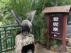 -西双版纳原始森林公园