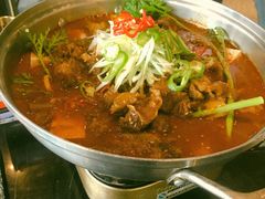 辛牛骨火锅-KCOOKING概念韩餐(世茂52+店)