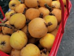 -塘栖枇杷特色园区