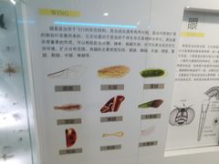 -中国农业大学(西校区)
