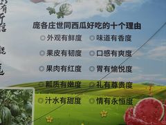 -西瓜小镇