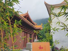 -深圳仙湖植物园