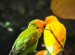 -酷嗒动物文化乐园(cutezoo西溪乐天城店)