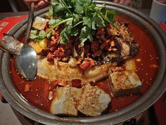 -探炉·香辣豆花烤鱼(笋岗宝能环球汇店)