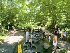 -成都市活水公园