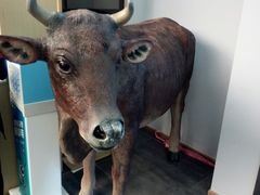 -伊犇牛清真牛肉火锅(宽窄巷子店)