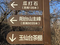 -阳台山自然风景区